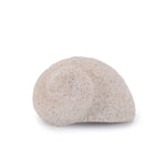 Coastal Bowl Filler Decor – Beige Decorative Shells