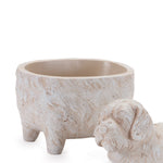 Dog Shelf Decor – 5.25