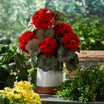 Decorative