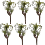 Indoor Botanical Air Plant Picks