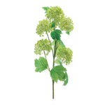 Set of 6 Snowball Floral Stems – Green Polyester Spray