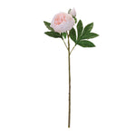 Decorative Peony Spray – 24
