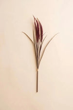 A single decorative dried grass stem with long narrow leaves and feathery burgundy-purple seed heads, centered on a plain warm beige background.