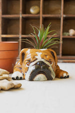 Ceramic Bulldog Planter – 4
