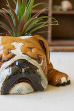 Kalalou Bulldog Ceramic Planter – Small Decorative Pot