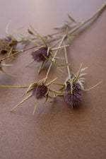 Light Purple Faux Thistle Stems – Set of Five