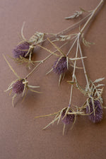 Kalalou Thistle Spray Bundle – 5 Stems