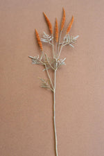 Fall Wheat Floral Stem – Kalalou