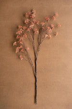 Dried flower branch on a brown background