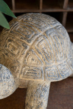 Concrete look turtle figurine