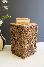 Organic root wood stand for plants and vases