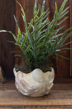 Octopus Shaped Ceramic Vase – Ocean-Inspired Home Décor by Kalalou