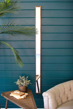 Tall vertical mirror on a blue wall with a plant and sofa in the foreground