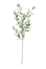 Green Leafy Sprig Stem – 47