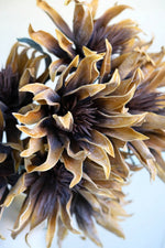 Modern Floral Vase Filler – Black and Gold Open Blossom Stems