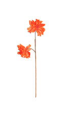 Customizable Orange Botanica Stem – Kalalou