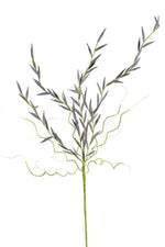 Tall Bendable Flower Stems for Vase or Corner Displays