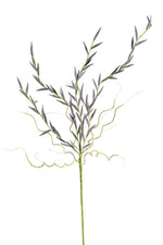 Purple and Green Foam Floral Stems for Home Decor
