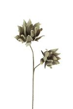 Decorative Botanical Stems with Artichoke Buds