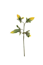 Tall Multicolor EVA Floral Stems – Sculptable Botanical Accents