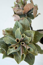 Lifelike artificial greenery stem 35 inch