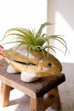 Coastal Fish Candle Holders Multicolor Ceramic Decor