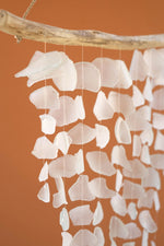 Shell chandelier hanging from a branch against an orange background