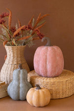 Halloween Terracotta Pumpkin Sculptures Set of 3 Decorative Home Accent by Kalalou