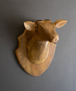Carved Mango Wood 15
