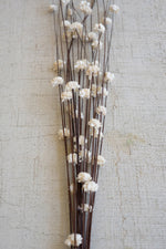 Kalalou Neutral Faux Flowers for Weddings or Home Décor