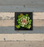 Vertical Garden Succulent Wall Decor