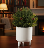 Winter Greenery Arborvitae Half Orb