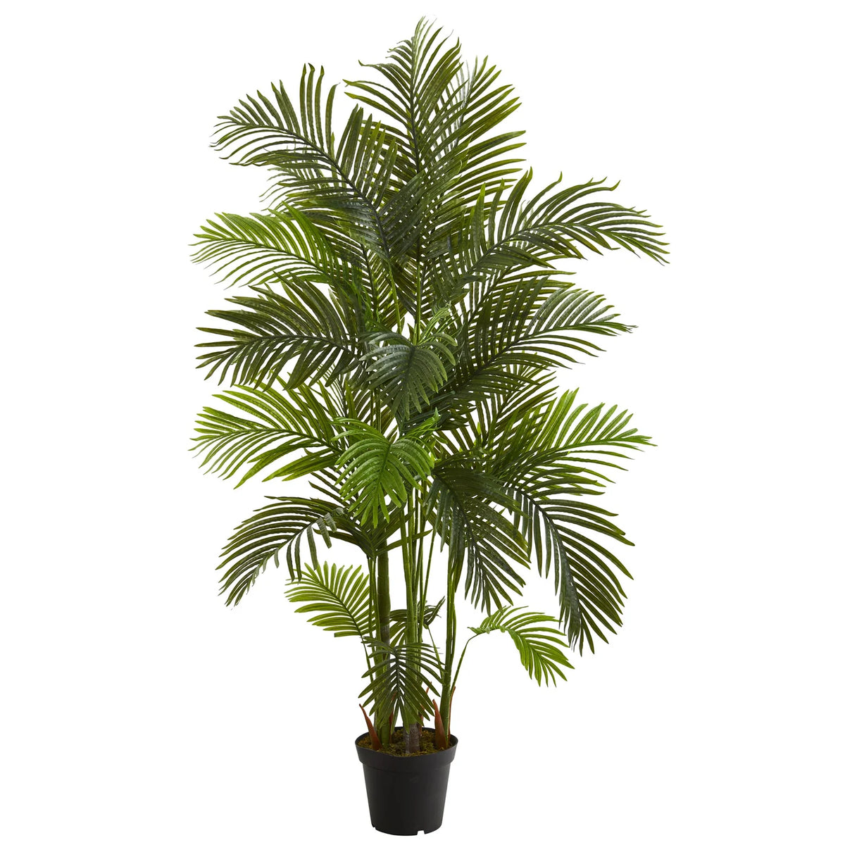Nearly Natural T1006 6' Areca Palm Artificial Tree – Uber Bazaar