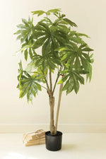 Artificial Japanese aralia for living room