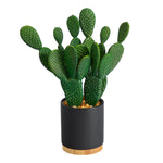 Nearly Natural 10-inch artificial cactus succulent plant in a planter