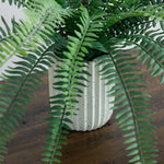 Small Indoor Greenery