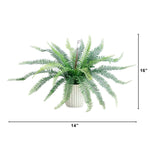 Decorative Boston Fern Accent