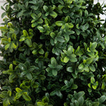 Close-up of a dense cluster of green leaves