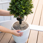 Person holding a potted plant on a wooden deck
