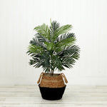 Potted plant with a woven basket on a wooden floor against a white wall