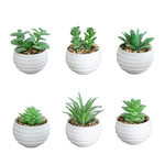 1. Nearly Natural green artificial succulents in compact white decorative planters