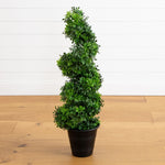 Boxwood Spiral Topiary