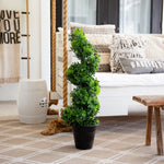 UV Resistant Boxwood