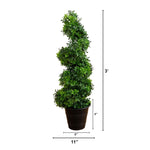 Green Spiral Tree