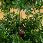 Artificial cone-shaped boxwood tree for patio and entryway styling