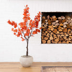 Potted plant with red leaves in front of a white brick wall and stacked firewood.