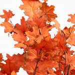 Cluster of orange autumn leaves on a white background