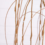 Brown willow branches against a white background