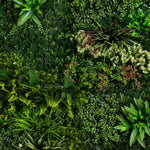 Boxwood Cedar Fern Wall