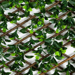 Expandable Green Privacy Screen